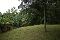 Binjai Park (D21), Detached #468839401